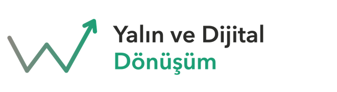 W Yalın ve Dijital Dönüşüm